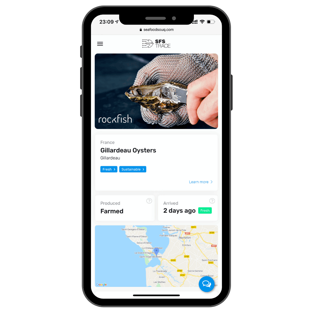  Website preview shown in mobile
